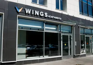 WINGS — фото 4